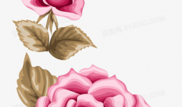 玫瑰花漫画,漫画中的浪漫与情感